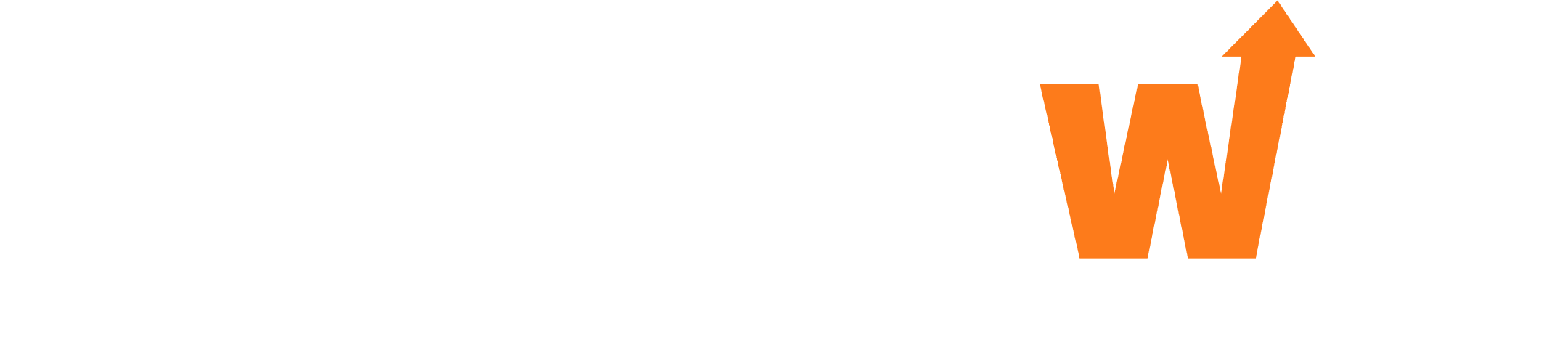Bold Growth System™